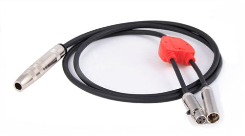 NASCAR Short Car Harness - 3 ft